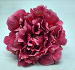 Flamenco Flower Peony Classic Cherry. 12cm 5.785€ #504190082CRZ
